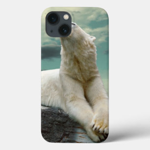 White Polar Bear Hunter on rock iPhone 13 Case