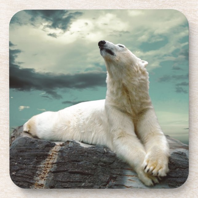 White Polar Bear Hunter on rock Coaster (Front)