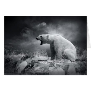 White Polar Bear Hunter on the Ice in water