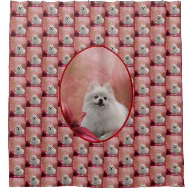White Pomeranian Dog Flowers Animal (Front)