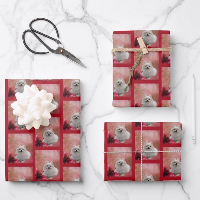 White Pomeranian Dog Flowers Animal  Wrapping Paper Sheet (Front)