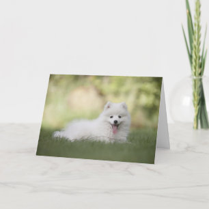 White Pomeranian Dog Happy Birthday Card