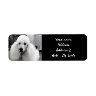 White Poodle Address Labels