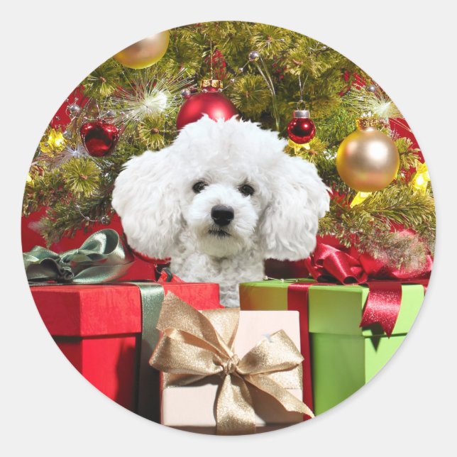 White Poodle Christmas Classic Round Sticker (Front)