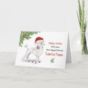 White Poodle Christmas From Dog in Funny Santa Hat Card