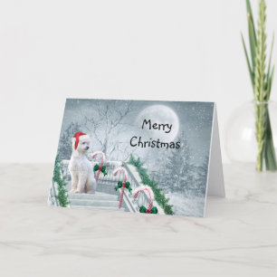 White Poodle Christmas Holiday Card