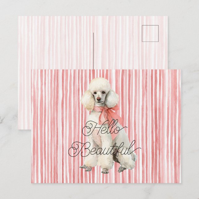 White Poodle Dog Hello Beautiful Postcard (Front/Back)
