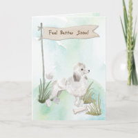 White Poodle Feel Better After Surgery with Dog