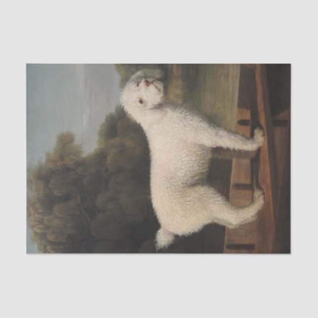 White Poodle in a Punt (by George Stubbs) Tissue Paper (Front)