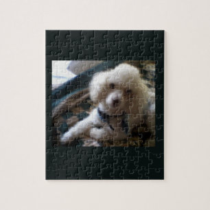 White Poodle Puzzle