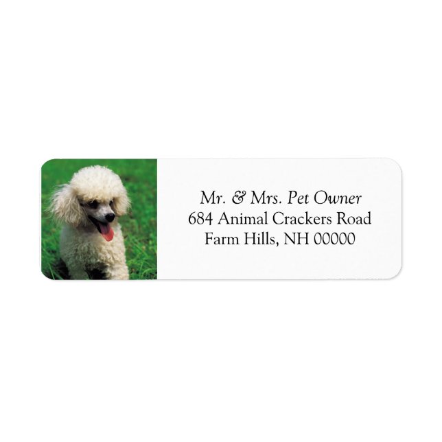 White Poodle Return Address Mail Labels Stickers (Front)