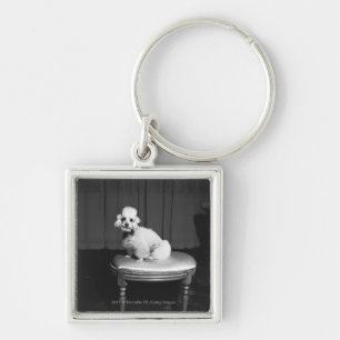 White poodle sitting on stool B&W Keychain