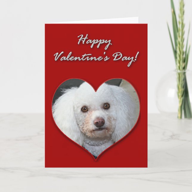 White Poodle Valentines Day Card (Front)