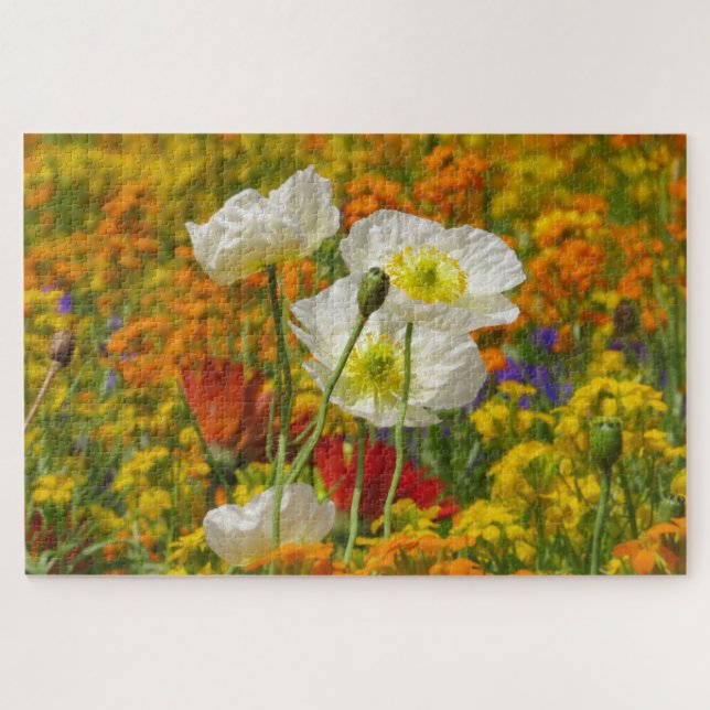 White poppies growing around the colourful flowers jigsaw puzzle (Horizontal)