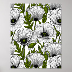 White poppies on white poster