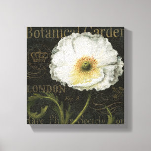White Poppy Blossom Canvas Print