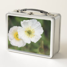 White Poppy Close-up Flower Lunch Pail 