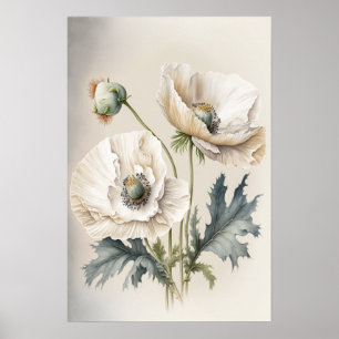 White Poppy Flowers Art Print Poster