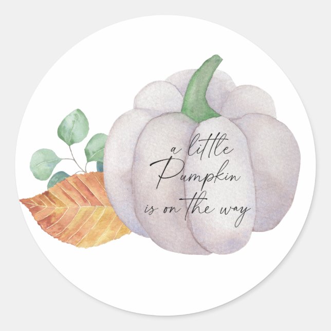 White pumpkin autumn, Little pumpkin is on the way Classic Round Sticker (Front)