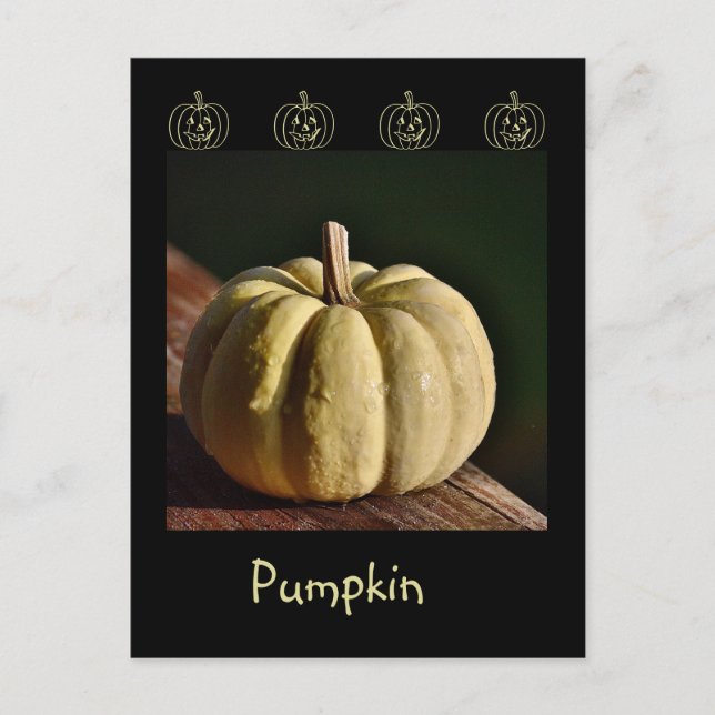 White Pumpkin Mini Gourd Fall Postcard (Front)