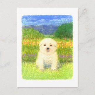 White Puppy Postcard