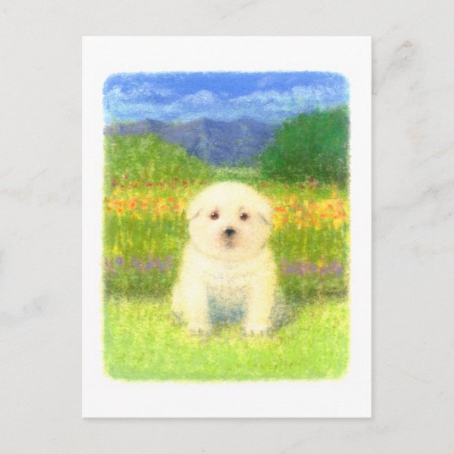 White Puppy Postcard (Front)