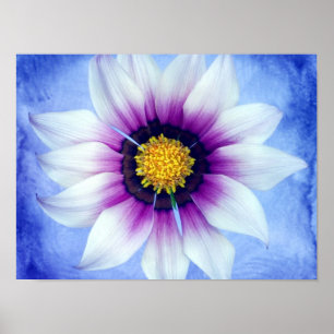 White & Purple Daisy on Blue Background Customized Poster