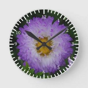 White Purple Matsumoto flower clock