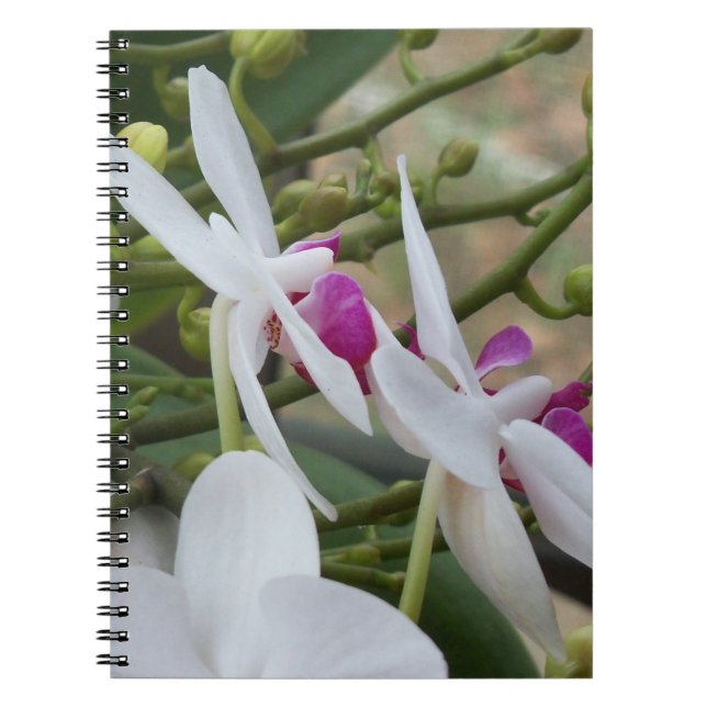 White & purple orchids on a handy notebook (Front)