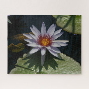 White Purple Waterlilies Jigsaw Puzzle