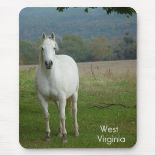White Quarter Horse Mousepad