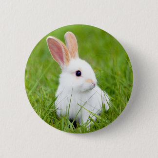 White Rabbit 2 Inch Round Button