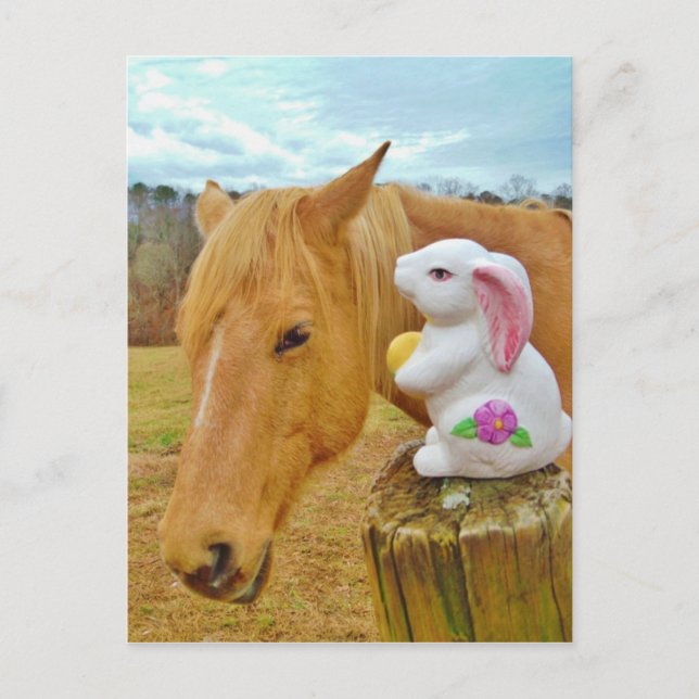 White rabbit and blonde yellow horse postcard (Front)
