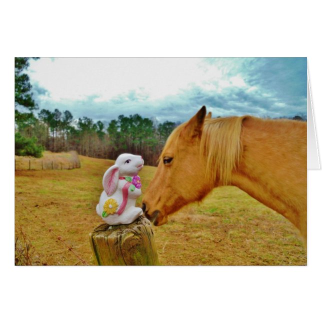 White Rabbit and Yellow Horse (Front Horizontal)