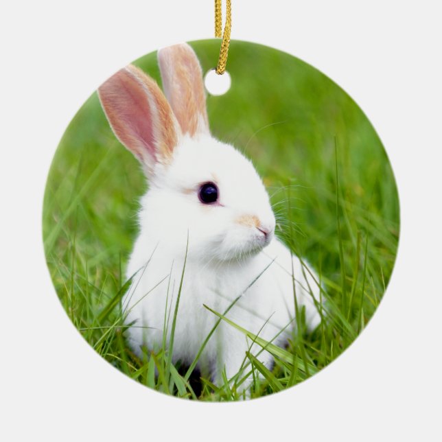 White Rabbit Ceramic Ornament (Front)