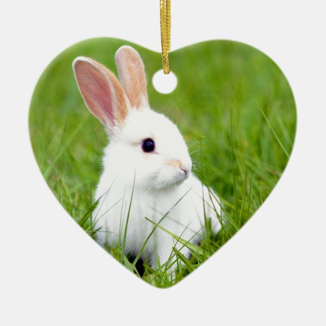 White Rabbit Ceramic Ornament (Front)