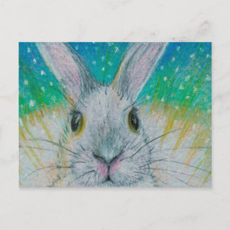 White Rabbit in the snow! Postcard