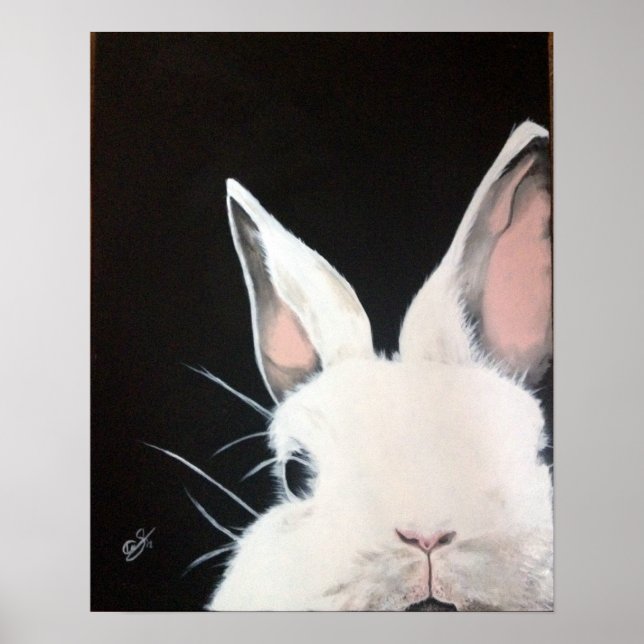 White Rabbit.jpg Poster (Front)