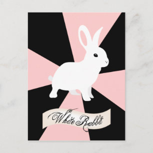 White Rabbit, Pink and White Postcard