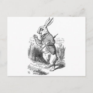 White Rabbit Postcard