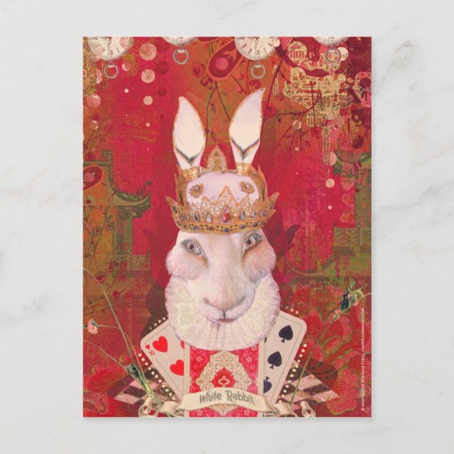 White Rabbit Postcard (Front)