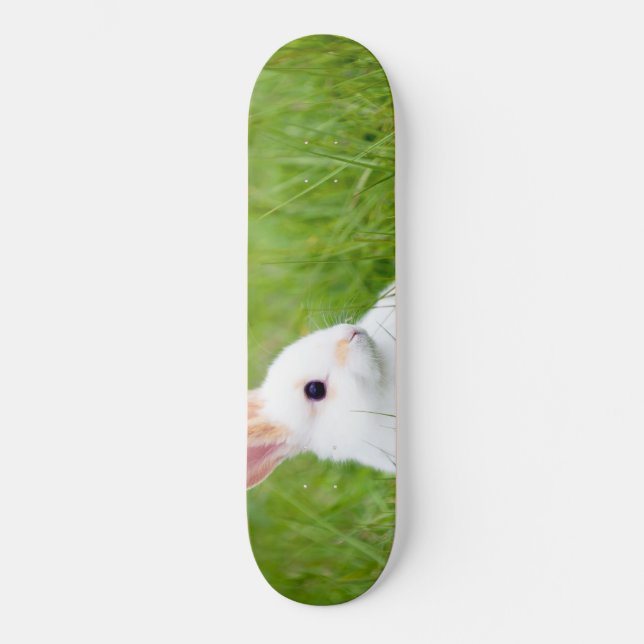White Rabbit Skateboard (Front)