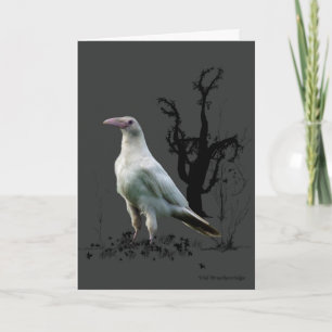 White Raven Greeting Cards