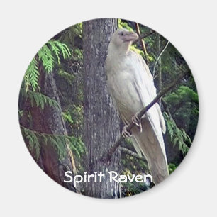 White Raven Magnets