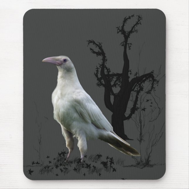 White Raven, Wild Bird, Fantasy, Goth Mousepads (Front)