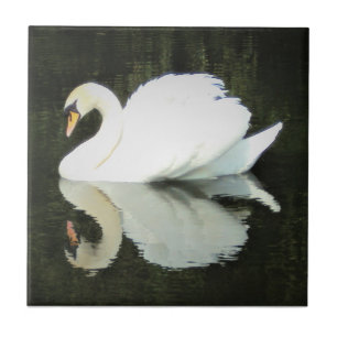 White Regal Swan Ceramic Tile