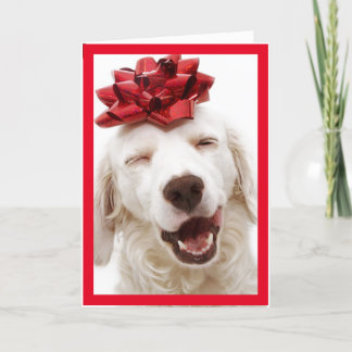 WHITE RETRIEVER WEARING BOW HAPPY NEW YEAR CARD