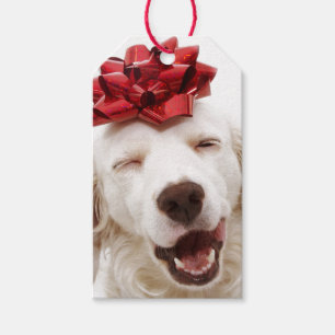 WHITE RETRIEVER WITH RED BOW GIFT TAG