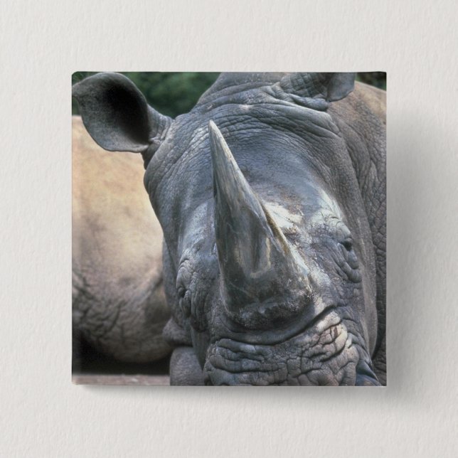 White Rhino 2 Inch Square Button (Front)
