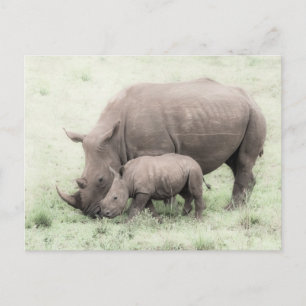 White Rhino & Baby Postcard